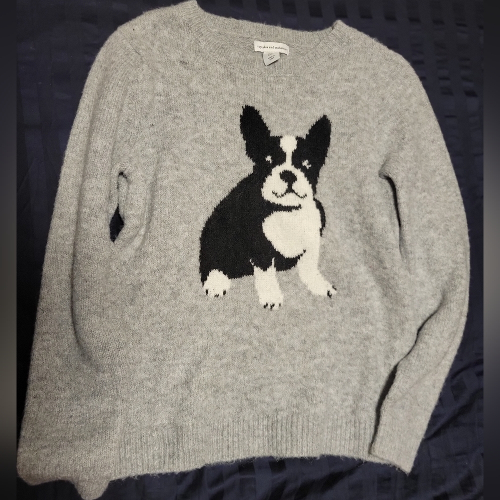 Cupcakes and Cashmere Boston Terrier sweater
